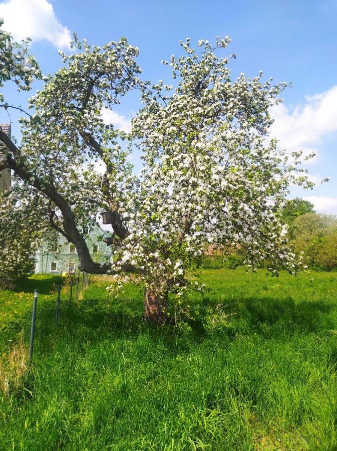 Polny Zakatek - Pokoje Goscinne Rybnica Экстерьер фото